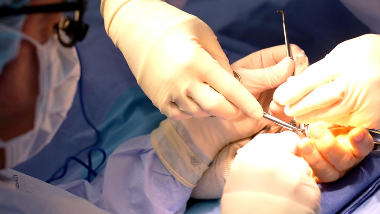 Hand And Upper Extremity Fellowship | Columbia Orthopedic Surgery