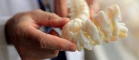 Carl L. Herndon, MD Columbia Orthopedic Surgery