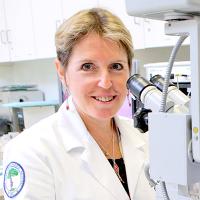 Portrait of Dr. Yelena Akelina